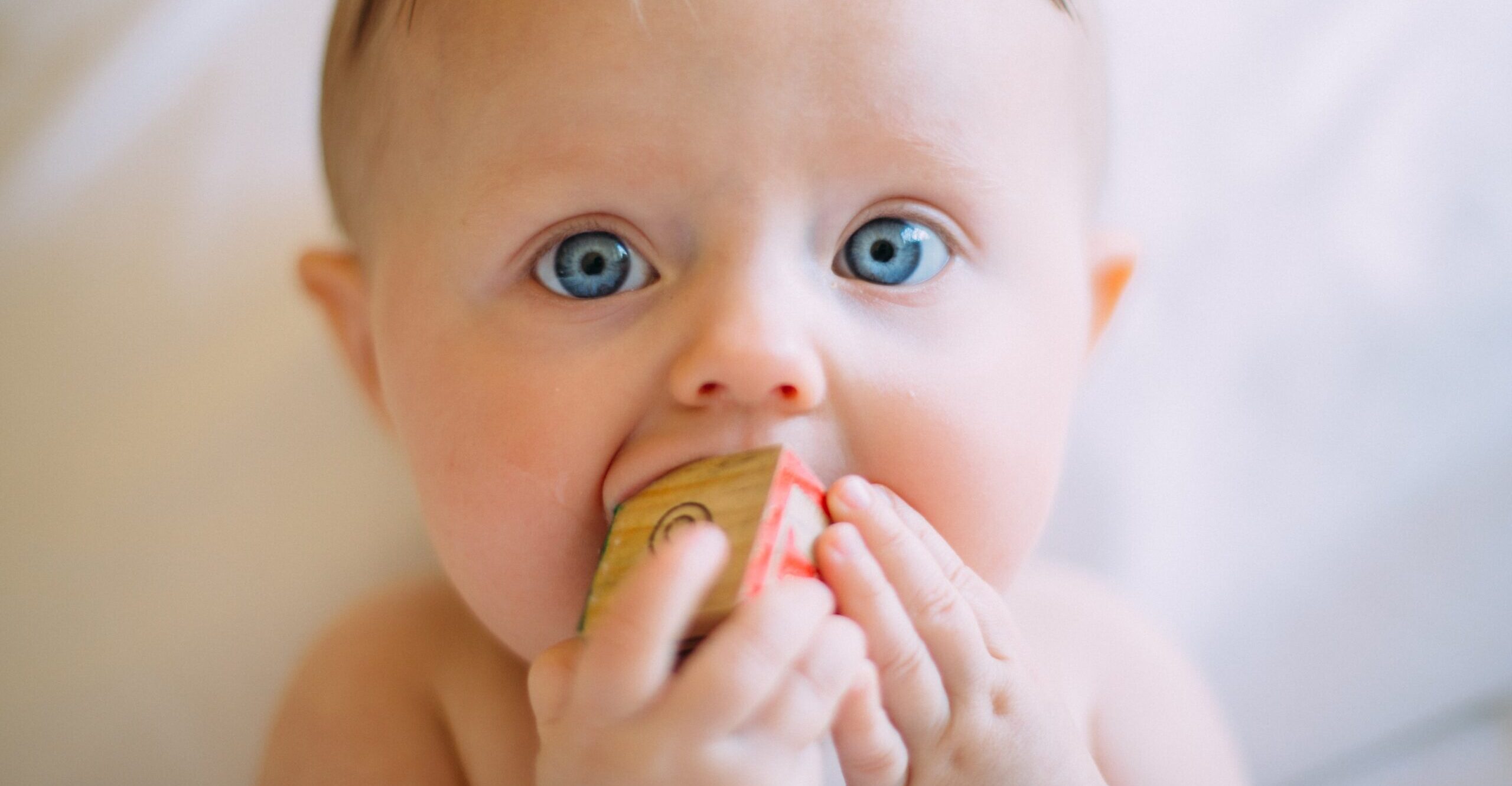 baby looking at camera chewing on wood block