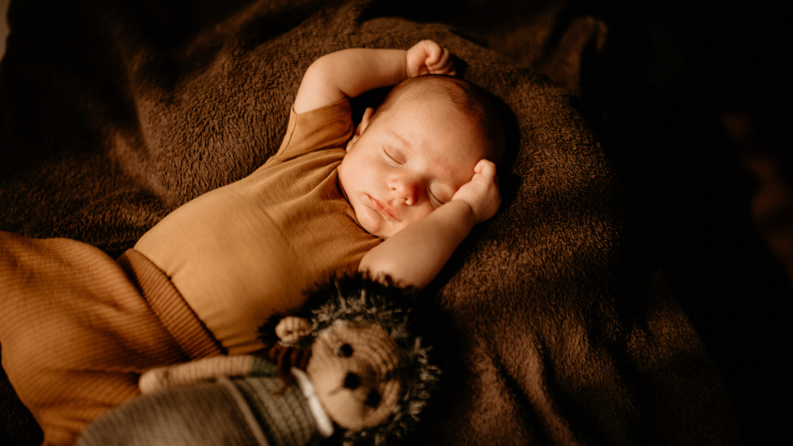 sleeping baby with stuffed lion